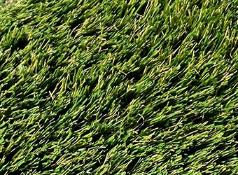 Synthetic Grass Tallahassee by RugZoom